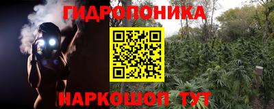 PSILOCYBIN Комсомольск-на-Амуре