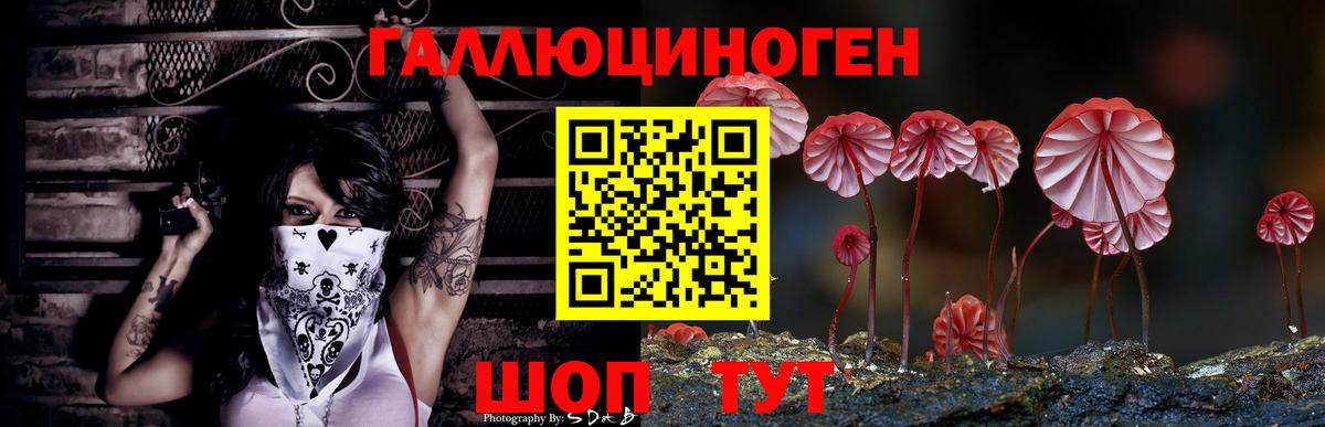 Псилоцибиновые грибы Magic Shrooms Геленджик